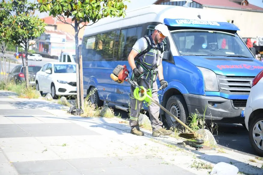 Yeşil alanlarda bakım, budama ve ot biçme çalışmaları