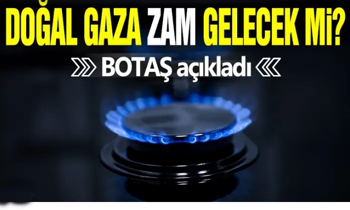 Doğal gaza zam gelecek mi? BOTAŞ