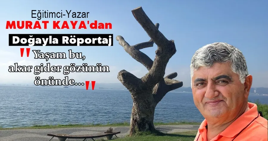 Eğitimci-Yazar Kaya
