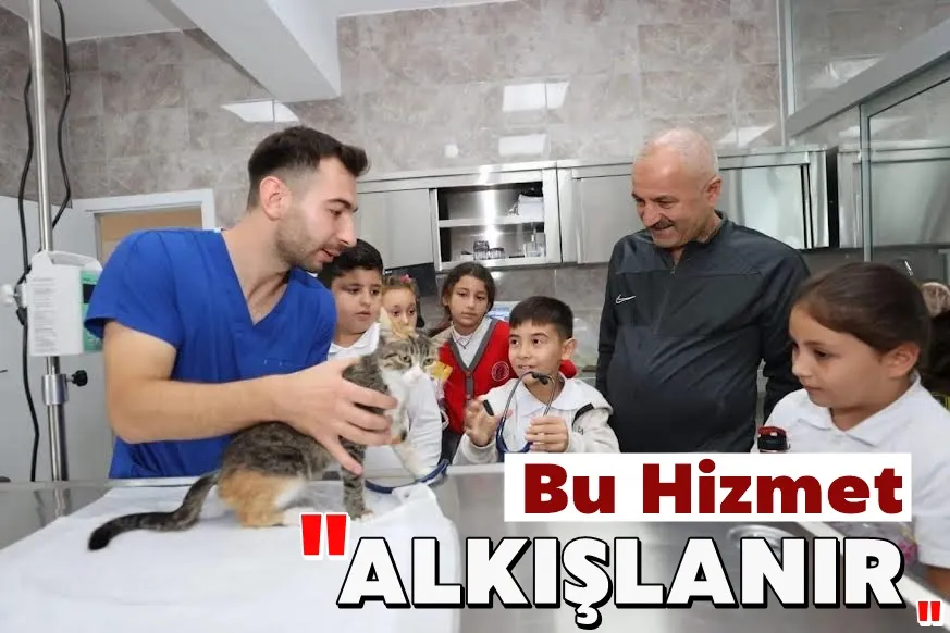 Gebze’de 309 Patili Cana Yeni Yuva Bulundu