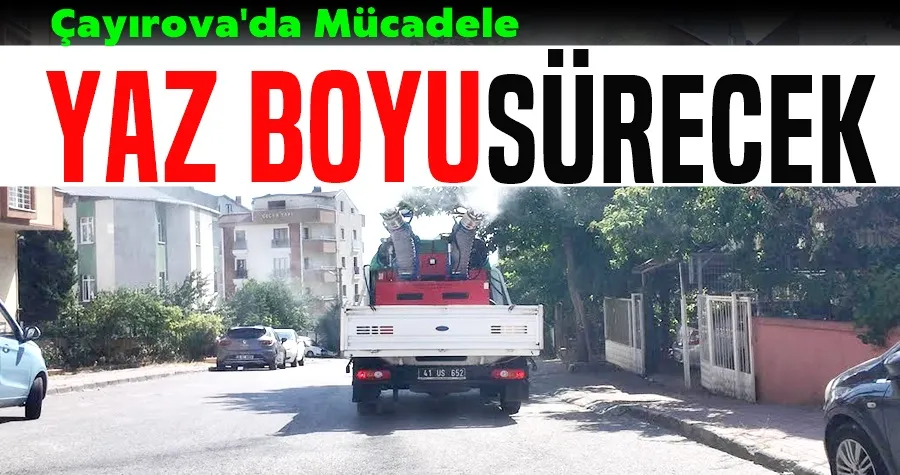 Çayırova’da vektörle mücadele sürüyor