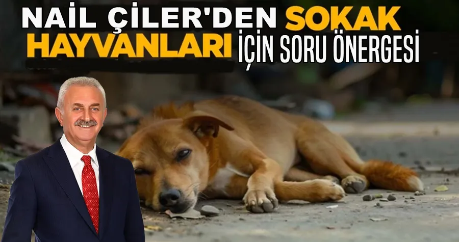 Çiler’den sokak hayvanları için soru önergesi