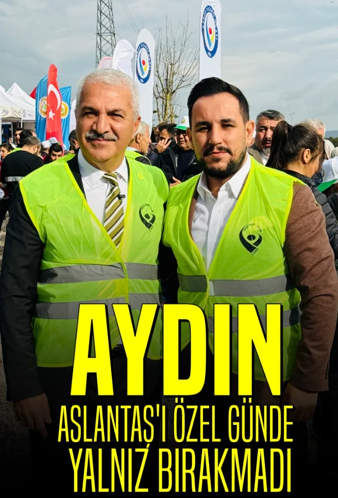 Aydın, Aslantaş