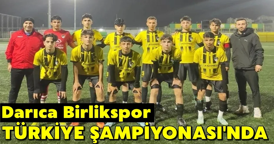 Darıca Birlik, Türkiye Şampiyonasında