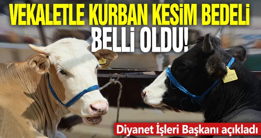 Diyanet İşleri Başkanı açıkladı! 2025 vekaletle kurban kesim bedeli belli oldu