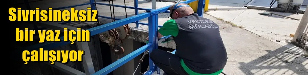 Sivrisineksiz bir yaz için çalışıyor