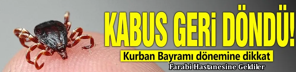 Kabus geri döndü! Kurban Bayramı dönemine dikkat