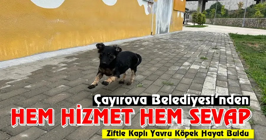 Çayırova