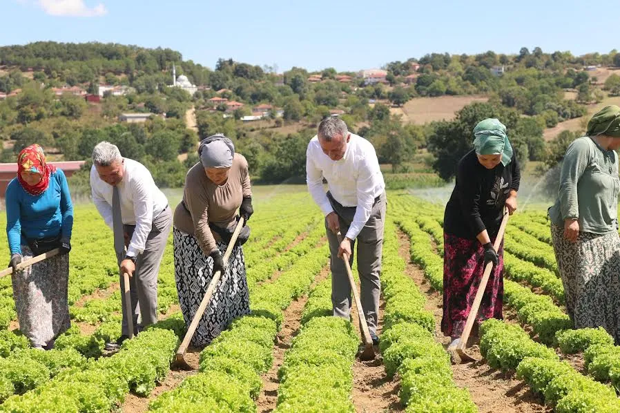 KOCAELİ’DE TARIM HER GEÇEN GÜN GÜÇLENİYOR