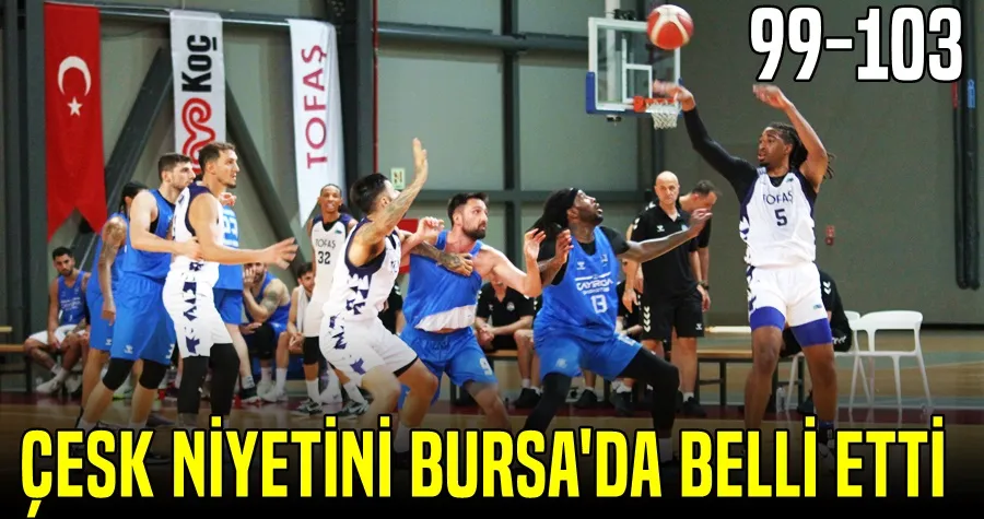 Bursa